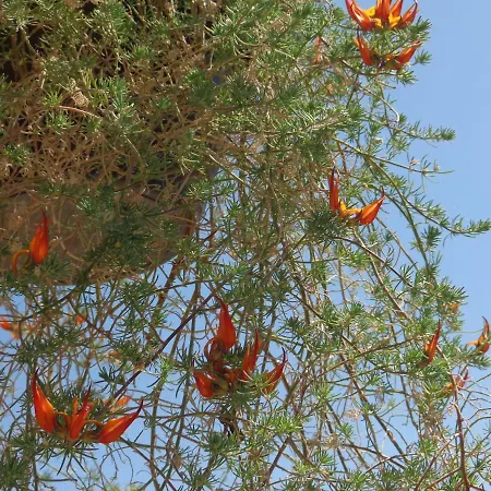 Casa Estevas Foz do Cobrão