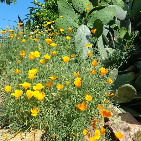 Alojamento de Acomodação e Pequeno-almoço Casa Estevas Foz do Cobrão