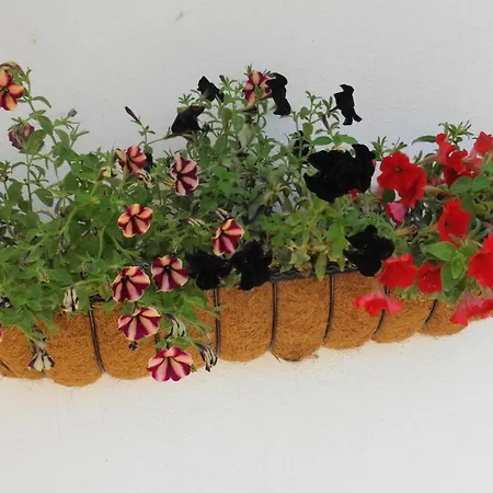 Casa Estevas Alojamento de Acomodação e Pequeno-almoço Foz do Cobrão