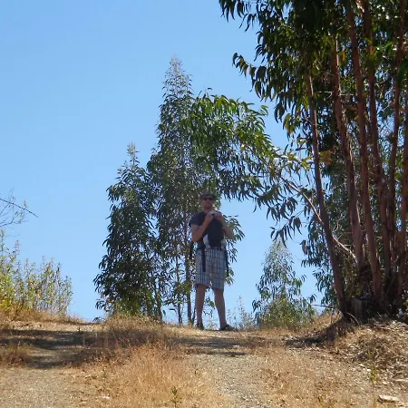 فندق مبيت وإفطار Casa Estevas